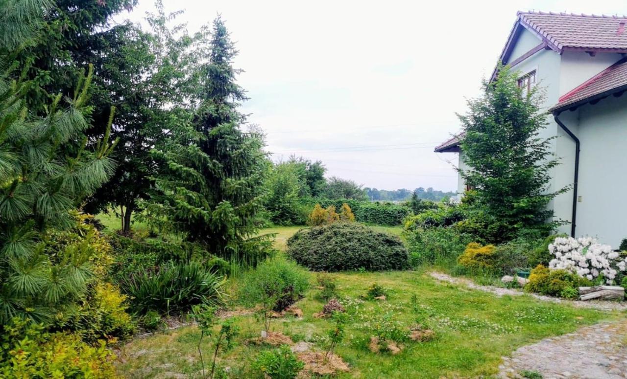 Apartamenty Zielona Gora Exteriör bild