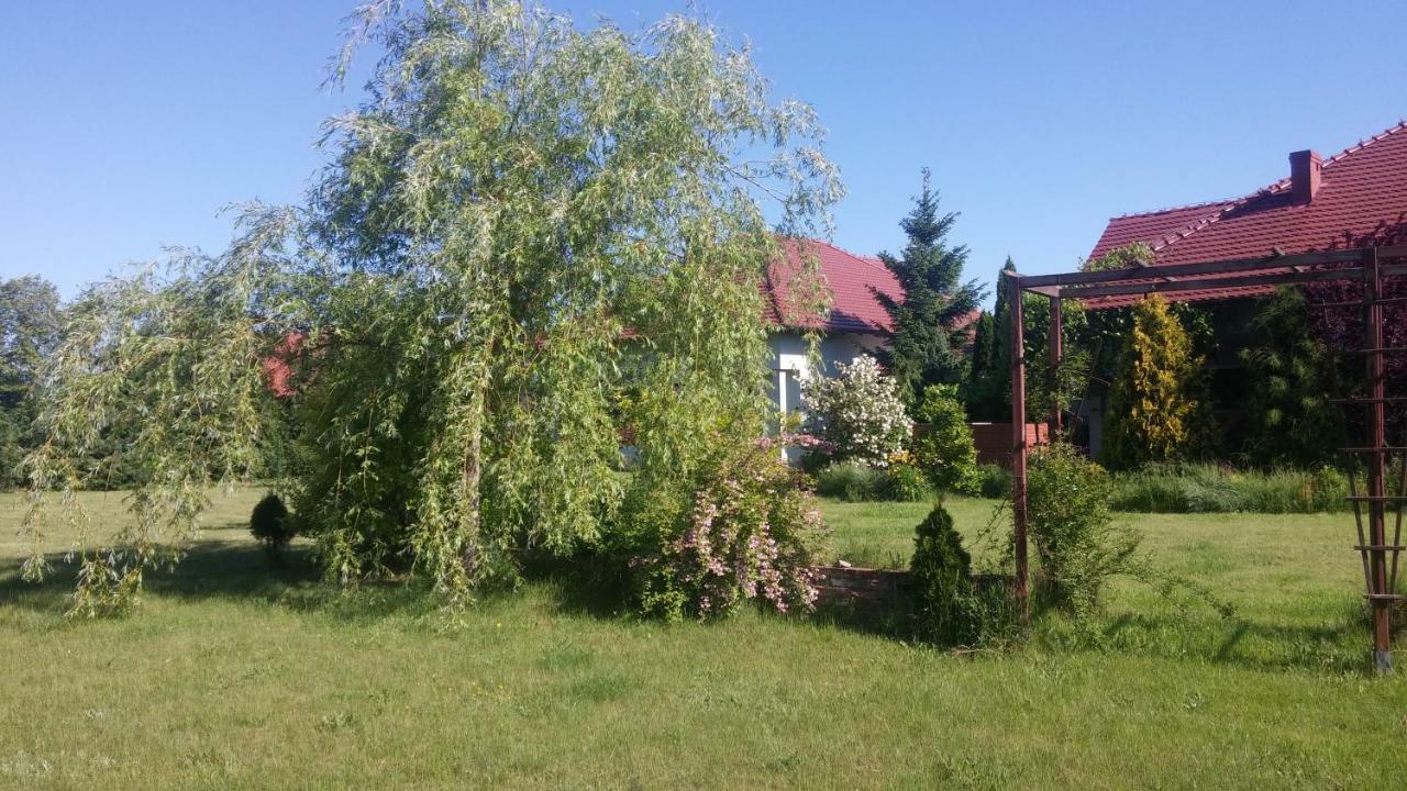 Apartamenty Zielona Gora Exteriör bild